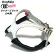 画像1: バディーベルト専用ライナー10号用(2枚入) ブラック Black BUDDY BELT BUDDYBELT バディベルト (1)