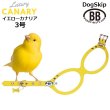 画像1: バディーベルト ハーネス 3号 カナリア（Canary） buddy-belts buddybelts (1)