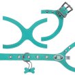 画像2: バディーベルト ハーネス 3.5号 ロビンズエッグブルー Robin's Egg Blue buddy-belts buddybelts バディーベルト卸販売 バディベルト卸販売 バディーベルト正規輸入代理店 正規店 (2)