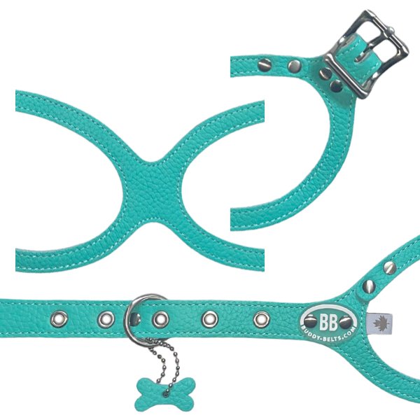 バディーベルト ハーネス 3.5号 ロビンズエッグブルー Robin's Egg Blue buddy-belts buddybelts バディーベルト卸販売  バディベルト卸販売 バディーベルト正規輸入代理店 正規店 - バディーベルトジェイピー/Buddybelts.jp