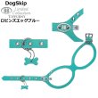 画像4: バディーベルト ハーネス 2号 ロビンズエッグブルー Robin's Egg Blue buddy-belts buddybelts バディーベルト卸販売 バディベルト卸販売 バディーベルト正規輸入代理店 正規店 (4)