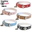 画像1: BB ID 首輪 3号 カラー バディーベルト buddybelt バディベルト Buddy Belts ID Collar (1)