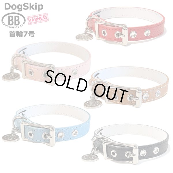 画像1: BB ID 首輪 7号 カラー バディーベルト buddybelt バディベルト Buddy Belts ID Collar (1)