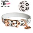 画像1: BB 首輪 ブラン 1号 Blanc ID カラー バディーベルト buddybelt バディベルト (1)