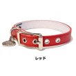 画像3: BB ID 首輪 3号 カラー バディーベルト buddybelt バディベルト Buddy Belts ID Collar (3)