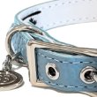 画像10: BB ID 首輪 3号 カラー バディーベルト buddybelt バディベルト Buddy Belts ID Collar (10)