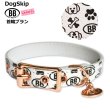 画像2: BB 首輪 ブラン 3号 Blanc ID カラー バディーベルト buddybelt バディベルト (2)