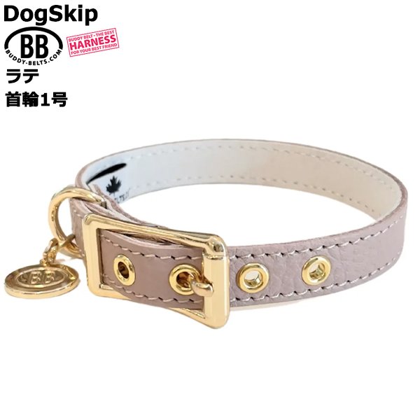 画像1: BB 首輪 ラテ 1号 Latte ID カラー バディーベルト buddybelt バディベルト (1)